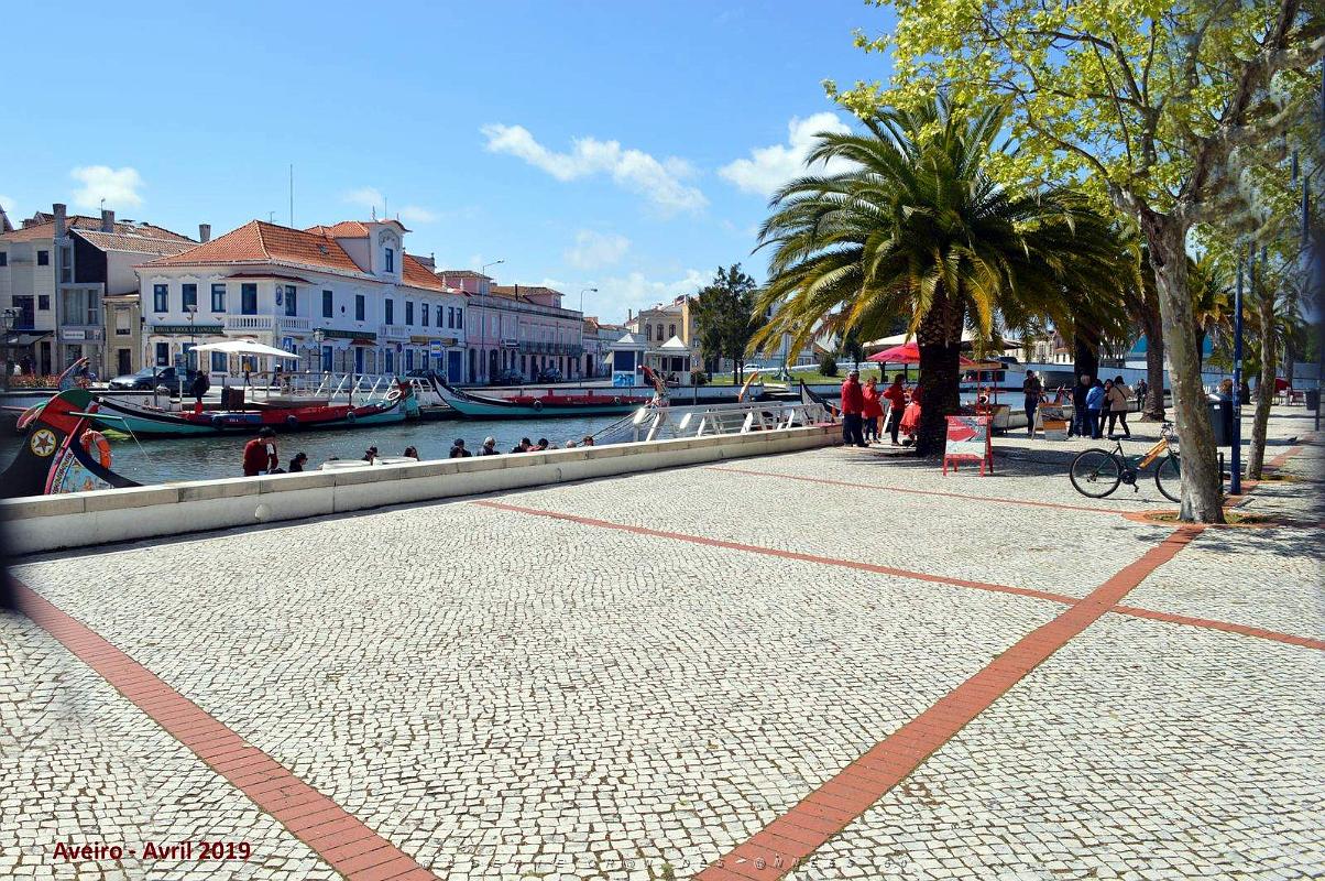 1439 - Aveiro.jpg